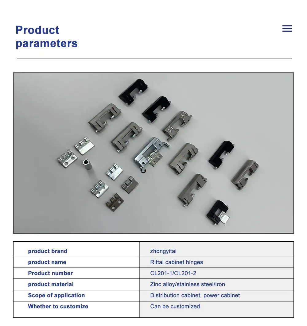 Cabinet Concealed Hinge