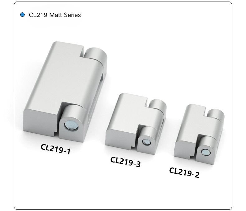 Electrical Cabinet Surface Mounted Hinge