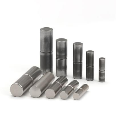 weld-on parliament pivot hinge