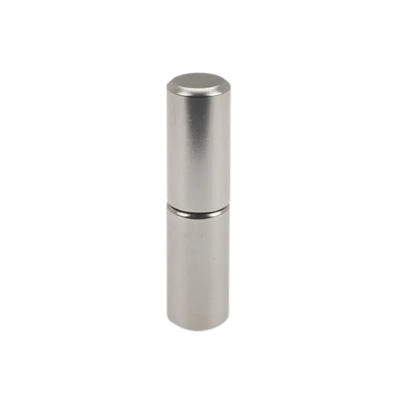 In-line Hinge Stainless Steel Lift-off